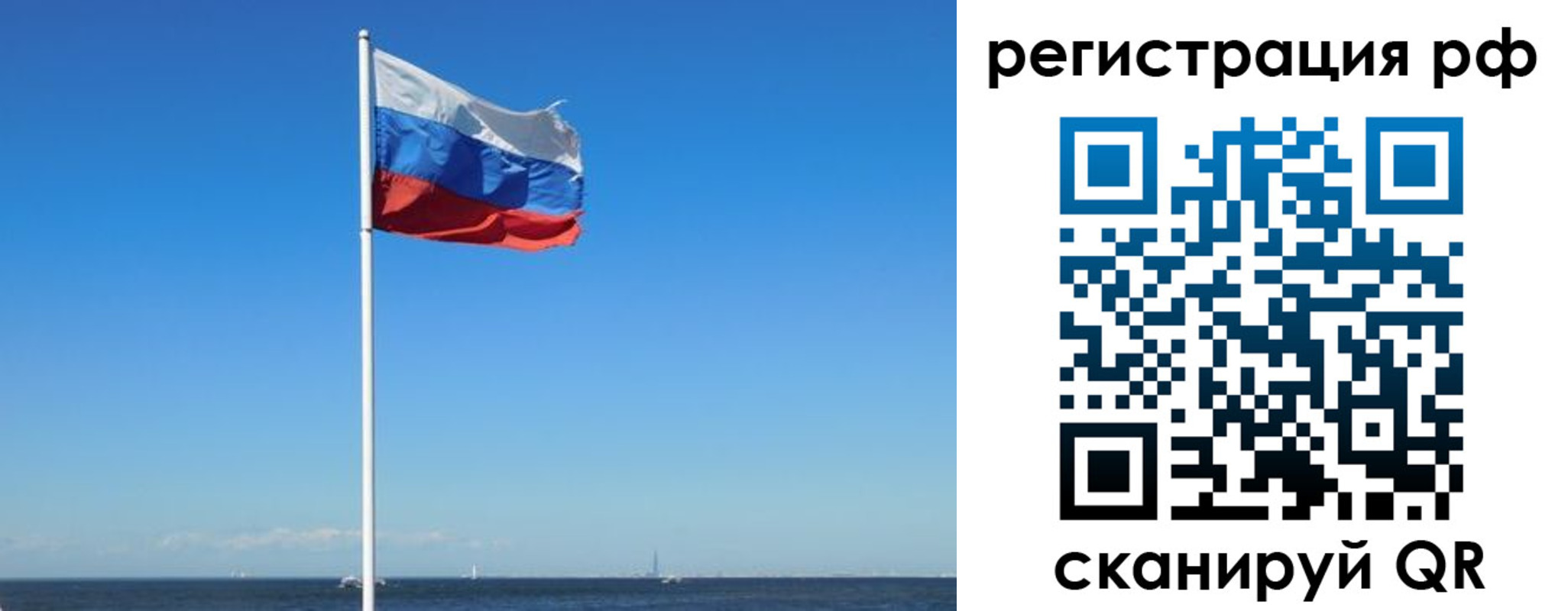 прописка законно в Курской области